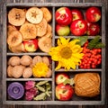 Autumn harvest. Composition in wooden box Royalty Free Stock Photo