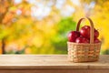 Autumn harvest concept. Red apples in basket on wooden table over outdoor bokeh background Royalty Free Stock Photo