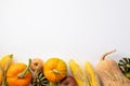 Autumn harvest concept. Top view photo of raw vegetables pumpkins gourd maize zucchini apples and wheat on isolated white