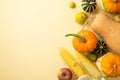 Autumn harvest concept. Top view photo of raw vegetables pumpkins gourd pattypans apple and maize on isolated beige background