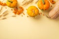 Autumn harvest concept. Top view photo of raw vegetables pumpkins gourd rowan and wheat on isolated beige background