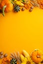 Autumn harvest concept. Top view vertical photo of raw vegetables pumpkins corn walnuts sunflowers wheat and rowan berries on Royalty Free Stock Photo