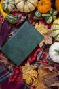 Autumn harvest. Decorative pumpkins of different varieties and a book on a plaid blanket .wooden background.Maple leaf Royalty Free Stock Photo