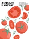 Autumn harvest design. Vector veggie tomato cartoon concept. Healthy organic tomatoes slices and rosemary.