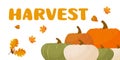 autumn harvest. different pumpkins, autumn leaves, phrase Harvest. autumn postcard