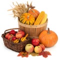 Autumn harvest display isolated on white background Royalty Free Stock Photo