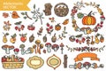 Autumn Harvest.Doodle berries,mushrooms,fruits,