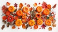 Autumn Harvest: Dried Leaves, Pumpkins, Flowers, and Berries on White Background. Perfect for Halloween and Thanksgiving. Top Royalty Free Stock Photo