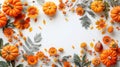 Autumn Harvest: Dried Leaves, Pumpkins, Flowers, and Berries on White Background. Perfect for Halloween and Thanksgiving. Top Royalty Free Stock Photo