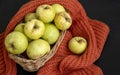Autumn harvest. Fall concept. Yellow apples in a basket. Dark background. Selective focus. Top view. Royalty Free Stock Photo