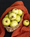 Autumn harvest. Fall concept. Yellow apples in a basket. Dark background. Selective focus. Top view Royalty Free Stock Photo