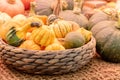 Autumn harvest in a farm market. Decorative pumpkins in a basket