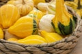 Autumn harvest in a farm market. Decorative pumpkins in a basket Royalty Free Stock Photo