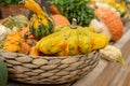 Autumn harvest in a farm market. Decorative pumpkins in a basket Royalty Free Stock Photo