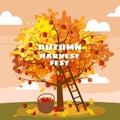 Autumn Harvest Fest. Apple tree with basket of apples, ladder, rural landscape. Fall, harvest, ripe fruits on tree Royalty Free Stock Photo