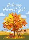 Autumn Harvest Fest. Apple tree with basket of apples, ladder, rural landscape. Fall, harvest, ripe fruits on tree Royalty Free Stock Photo