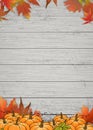 Autumn harvest festival with pumpkin, autumn leaves on wood wall,Vector Happy Thanksgiving Day invitations with copy space,Display Royalty Free Stock Photo