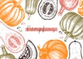 Autumn harvest festival vector design. Traditional Thanksgiving day  top view. Fall season backdrop with hand drawn plants, fruits Royalty Free Stock Photo