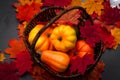 Autumn harvest festivity, Thanksgiving feast and  fall festival concept with pumpkins and squash in a wicker basket on fallen Royalty Free Stock Photo