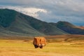 Autumn harvest from fields in Tuva Haystacks in a trailer for transportation