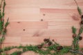 Autumn harvest. Frame of leaves on a light wooden background, green branch with pine cones, top view2