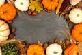 Autumn harvest frame over a slate background Royalty Free Stock Photo