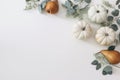 Autumn harvest frame, web banner. Pear fruit and white pumpkins isolated on white table background. Fall, Thanksgiving Royalty Free Stock Photo