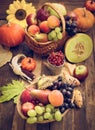 Autumn harvest - fresh autumn fruits