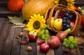 Autumn harvest - fresh fruits