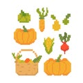 Autumn harvest of fruits and vegetables isolated on white background. Graphics for games. 8 bits Vector illustration in pixel art