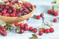 Autumn harvest Hawthorn berry with leaves in bowl on a light woo Royalty Free Stock Photo