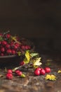 Autumn harvest Hawthorn berry with leaves in bowl on a wooden ta Royalty Free Stock Photo