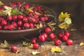 Autumn harvest Hawthorn berry with leaves in bowl on a wooden ta Royalty Free Stock Photo