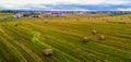 Autumn harvest hay in rolls