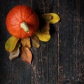 Autumn Harvest and Holiday still life. Happy Thanksgiving Background. Pumpkin and fallen leaves on dark wooden background. Royalty Free Stock Photo