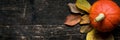 Autumn Harvest and Holiday still life. Happy Thanksgiving Banner. Two pumpkins and fallen leaves on dark wooden background.