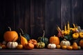 Autumn Harvest and Holiday still life. Selection of various pumpkins on dark wooden background with copy space. Autumn vegetables Royalty Free Stock Photo