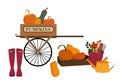 Autumn harvest concept with Wooden cart full of pumpkins.