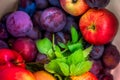 Autumn harvest. Macro shot of a freshly picked red ripe apple next to bright green peppermint leaves and dark pink plums Royalty Free Stock Photo