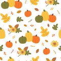 Autumn harvest pattern. Orange pumpkin, yellow leaves, berry, floral elements. Bright autumn seamless pattern Royalty Free Stock Photo