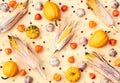 Autumn harvest pattern from pumpkin, corn, garlic, physalis, berries and seeds