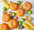 Autumn harvest pumpkin background. Autumn harvest vegetables and fruits. Pumpkins, apples, pears, corn on table. Thanksgiving Royalty Free Stock Photo