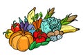 autumn harvest pumpkin corn cabbage tomato potato carrot cucumbe