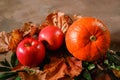 Autumn harvest. Pumpkin, red apples and autumn leaves. Autumn still-life.