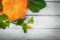Autumn harvest - pumpkin on white wooden background
