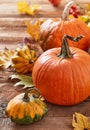 Autumn harvest pumpkins close-up