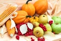 Autumn harvest: pumpkins, indian corn, red berries, pears, apples, fallen leaves on wooden background. Thanksgiving concept Royalty Free Stock Photo