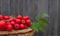 Autumn harvest, red rowan berries with leaves in a basket, on the background of a wooden wall