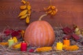 Still life with ripen pumpkin, apple, corn, dry grass autumn leaves and candle