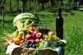 Autumn harvest: seasonal fruits and red wine